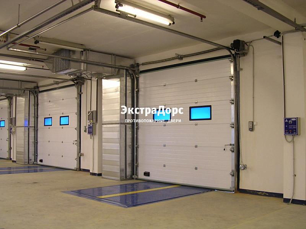 Подъемные автоматические противопожарные ворота с окнами в Щёлково  купить