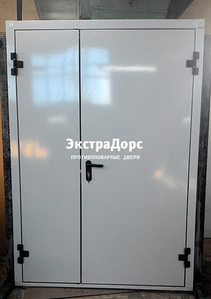 Противопожарная дверь EI 30 3 типа двупольная белая в Щёлково  купить