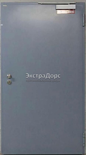 Противопожарная дверь однопольная дымогазонепроницаемая металлик в Щёлково  купить
