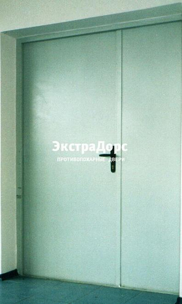 Противопожарная дверь двупольная белая без порога в Щёлково  купить