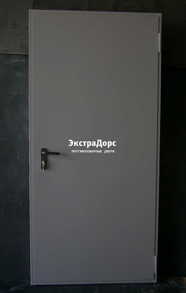 Дверь металлическая противопожарная EI 60 ДПМ 2 типа серая в Щёлково  купить